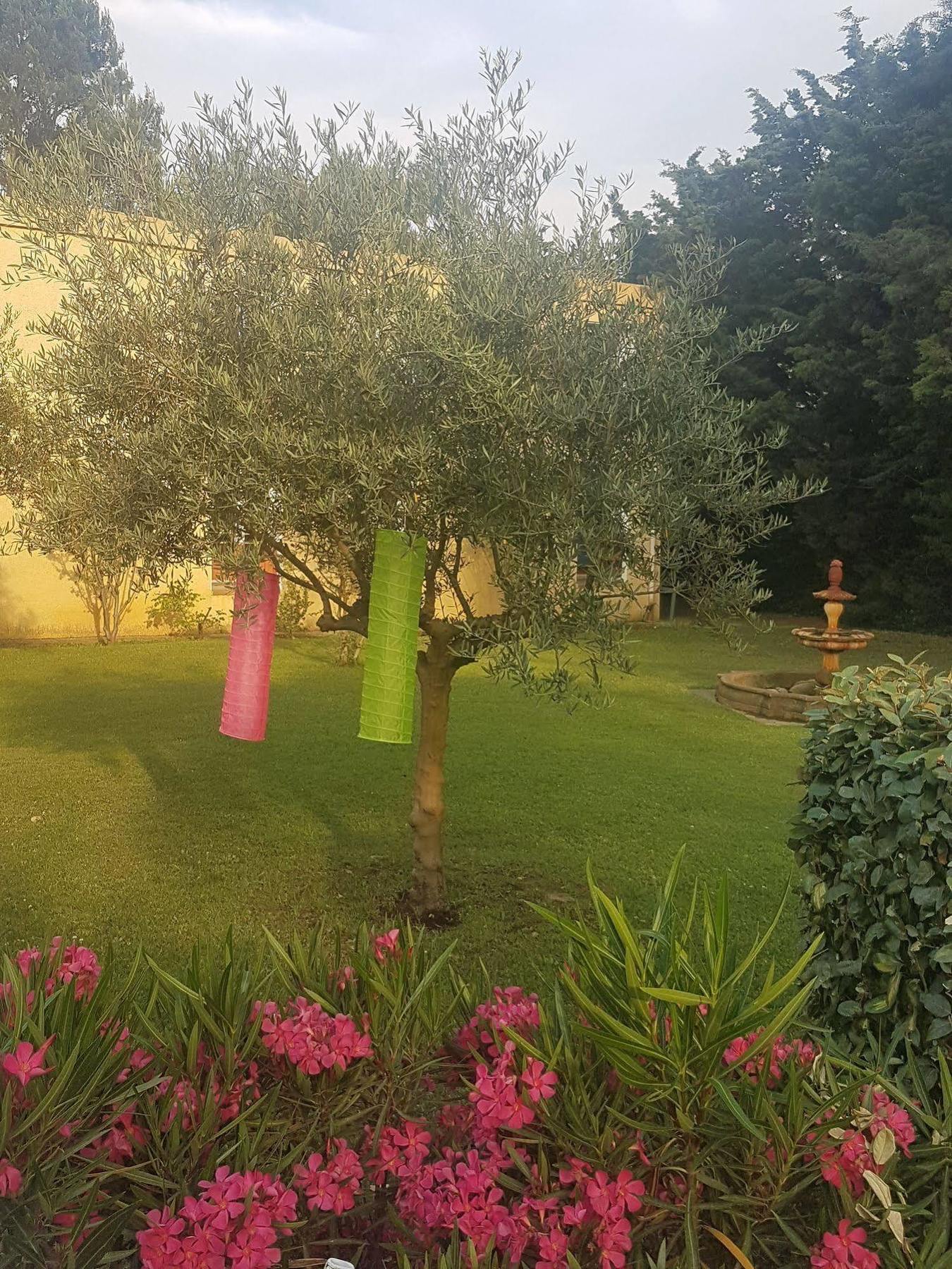 Hotel Restaurant Le Mas De L'Olivier Pont-Saint-Esprit Εξωτερικό φωτογραφία